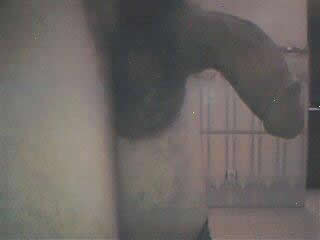 Homme libert1 matrix
